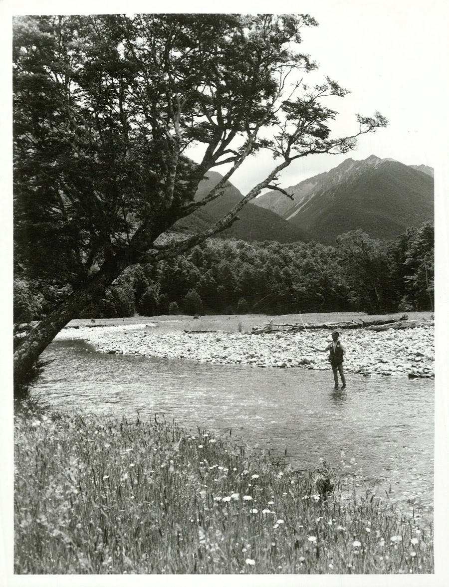 Trout fishing in the Travers River, South Island, New Zealand